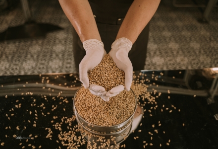 Hình ảnh 7