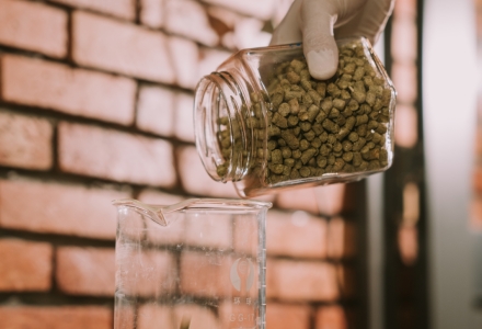 Hình ảnh 7